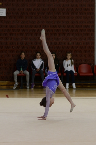 s_PIC_1782