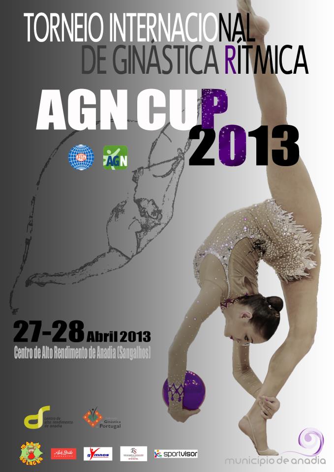 agn-cup-2013